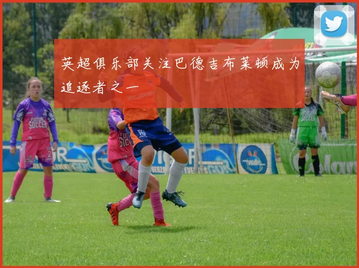 英超俱乐部关注巴德吉布莱顿成为追逐者之一