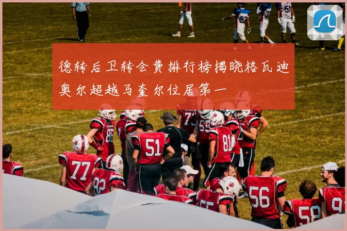 德转后卫转会费排行榜揭晓格瓦迪奥尔超越马奎尔位居第一